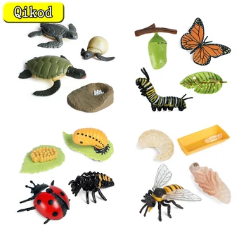 Novi Simulacijski Model Životnog Ciklusa Životinja Kukca, Model Ciklusa Rasta Pčele, Leptiri, Figurice, Dječje Kognitivne Rani Igračke, Prikupljanje