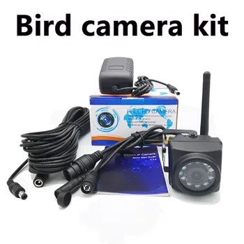 U 32G RTMP 1080P Noćni Vid Vodootporni Vanjski Wifi Mini Bežične IP Ptica Box Set Kamere Audio Kućni Ljubimac Gnijezdo Skladište Za Promatranje Ptica